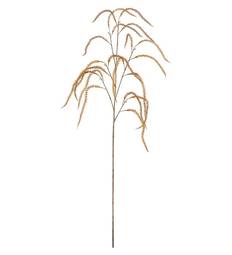 Amaranthus 95cm