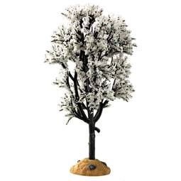White hawthorn tree