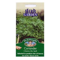 Fræ Kóriander -  Coriander for leaf
